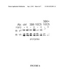 MATERIALS AND METHODS FOR INHIBITING CANCER CELL INVASION diagram and image