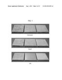 ECO-FRIENDLY INCOMBUSTIBLE BIOCOMPOSITE AND METHOD FOR PREPARING THE SAME diagram and image