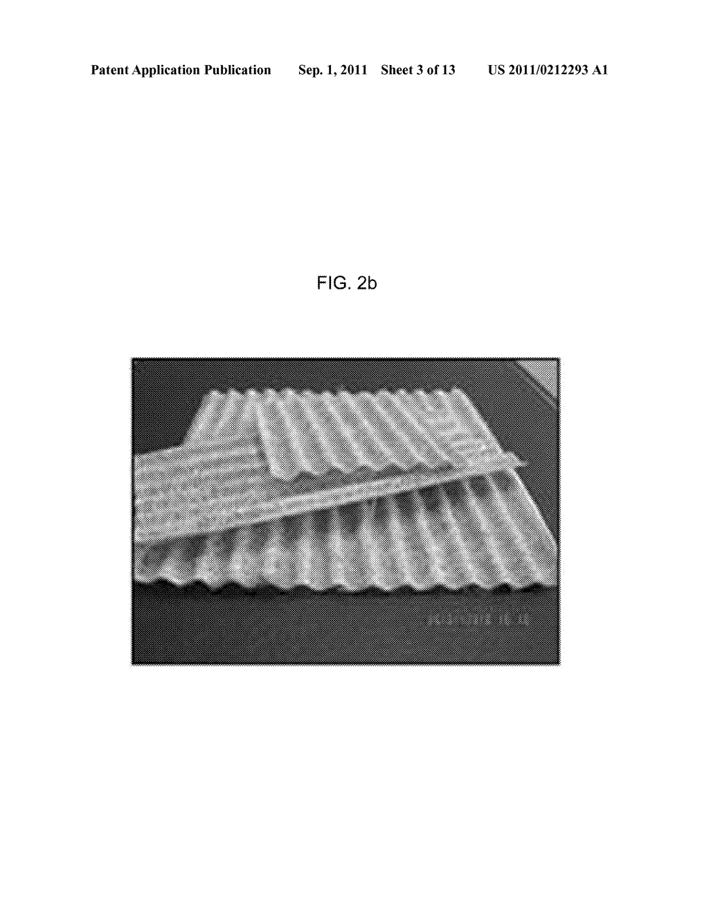 ECO-FRIENDLY INCOMBUSTIBLE BIOCOMPOSITE AND METHOD FOR PREPARING THE SAME - diagram, schematic, and image 04