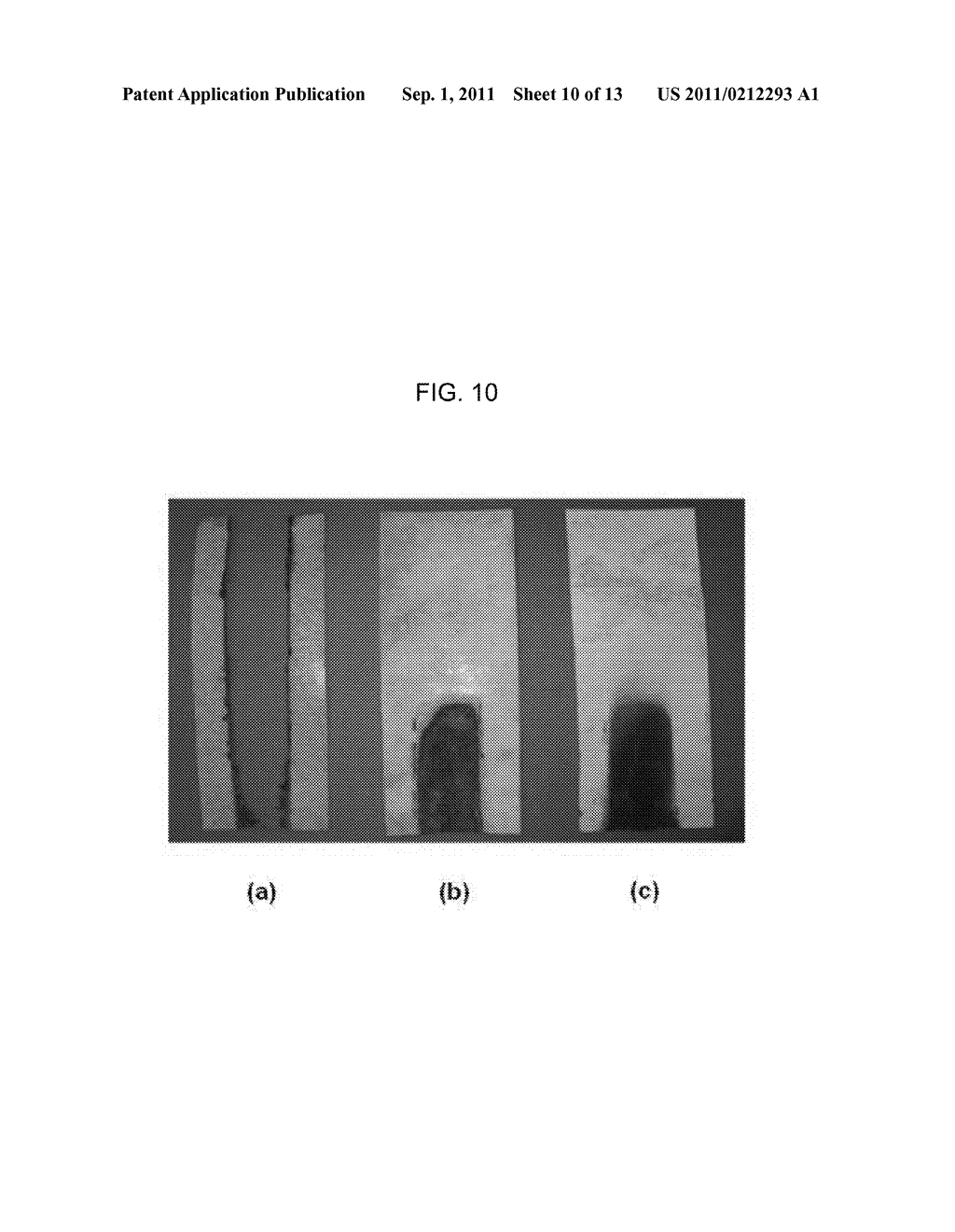 ECO-FRIENDLY INCOMBUSTIBLE BIOCOMPOSITE AND METHOD FOR PREPARING THE SAME - diagram, schematic, and image 11