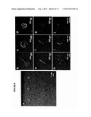 NANOTUBE ASSEMBLY diagram and image