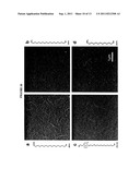 NANOTUBE ASSEMBLY diagram and image