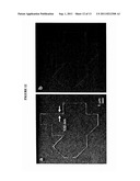 NANOTUBE ASSEMBLY diagram and image