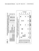 PERPENDICULAR MAGNETIC RECORDING MEDIUM AND PROCESS FOR MANUFACTURE     THEREOF diagram and image