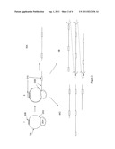 MOLECULAR REDUNDANT SEQUENCING diagram and image