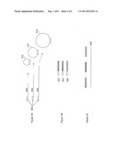 MOLECULAR REDUNDANT SEQUENCING diagram and image