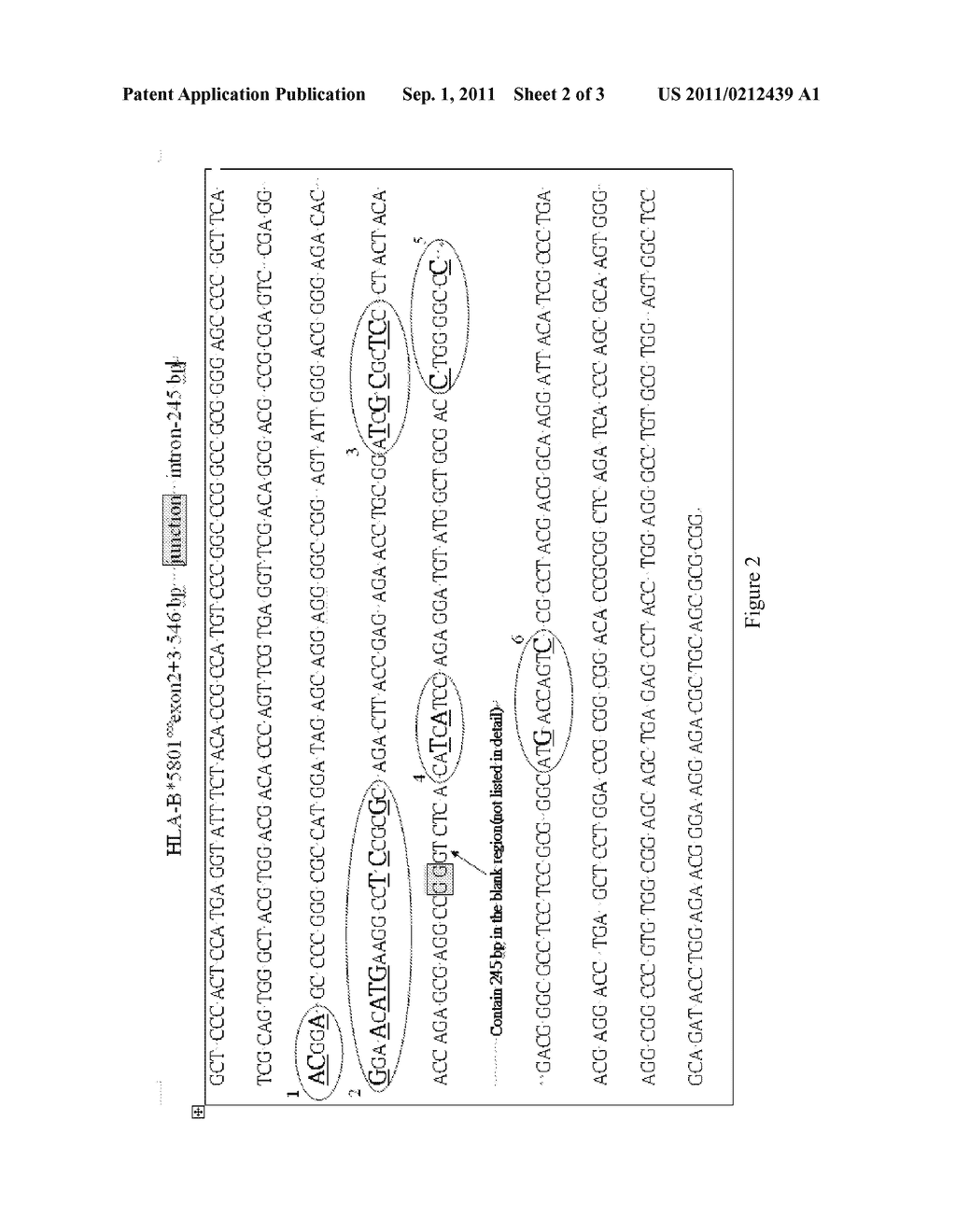 HLA ALLELES ASSOCIATED WITH ADVERSE DRUG REACTIONS AND METHODS FOR     DETECTING SUCH - diagram, schematic, and image 03