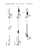 RNA DETECTION METHOD diagram and image