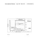 Assay for Telomerase Activity diagram and image