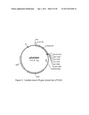 Methods for Production of Xylitol in Microorganisms diagram and image