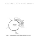 Methods for Production of Xylitol in Microorganisms diagram and image