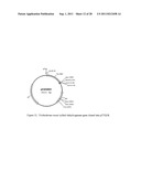 Methods for Production of Xylitol in Microorganisms diagram and image