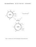Methods for Production of Xylitol in Microorganisms diagram and image