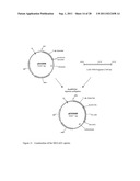 Methods for Production of Xylitol in Microorganisms diagram and image