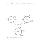 Methods for Production of Xylitol in Microorganisms diagram and image