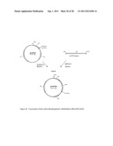 Methods for Production of Xylitol in Microorganisms diagram and image