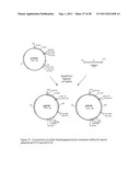 Methods for Production of Xylitol in Microorganisms diagram and image