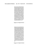 Methods for Production of Xylitol in Microorganisms diagram and image