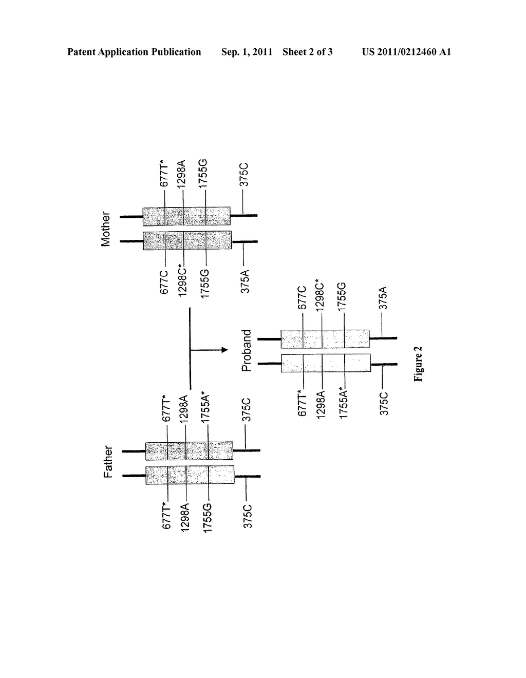 ASSAY FOR NITROUS OXIDE NEUROLOGIC SYNDROME - diagram, schematic, and image 03