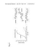 Fluorescently Or Spin-Labeled Kinases For Rapid Screening And     Identification Of Novel Kinase Inhibitor Scaffolds diagram and image