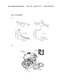 Fluorescently Or Spin-Labeled Kinases For Rapid Screening And     Identification Of Novel Kinase Inhibitor Scaffolds diagram and image