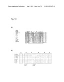 Fluorescently Or Spin-Labeled Kinases For Rapid Screening And     Identification Of Novel Kinase Inhibitor Scaffolds diagram and image