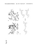 Fluorescently Or Spin-Labeled Kinases For Rapid Screening And     Identification Of Novel Kinase Inhibitor Scaffolds diagram and image