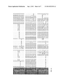 GENETICALLY ENGINEERED G-ALPHA PROTEINS AND USES THEREOF diagram and image