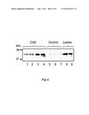 LIPOPROTEIN-ASSOCIATED MARKERS FOR CARDIOVASCULAR DISEASE diagram and image