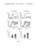 In Vitro Model of Focal Ischemia diagram and image