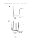 In Vitro Model of Focal Ischemia diagram and image