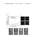 SYSTEM FOR DETECTING BIOMOLECULE WITH HIGH SENSITIVITY USING     MICRO-CANTILEVER diagram and image