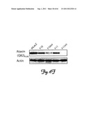 RNA INTERFERENCE SUPPRESSION OF NEURODEGENERATIVE DISEASES AND METHODS OF     USE THEREOF diagram and image