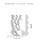 RNA INTERFERENCE SUPPRESSION OF NEURODEGENERATIVE DISEASES AND METHODS OF     USE THEREOF diagram and image