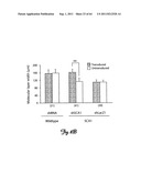 RNA INTERFERENCE SUPPRESSION OF NEURODEGENERATIVE DISEASES AND METHODS OF     USE THEREOF diagram and image