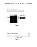 RNA INTERFERENCE SUPPRESSION OF NEURODEGENERATIVE DISEASES AND METHODS OF     USE THEREOF diagram and image