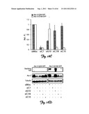 RNA INTERFERENCE SUPPRESSION OF NEURODEGENERATIVE DISEASES AND METHODS OF     USE THEREOF diagram and image