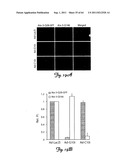 RNA INTERFERENCE SUPPRESSION OF NEURODEGENERATIVE DISEASES AND METHODS OF     USE THEREOF diagram and image