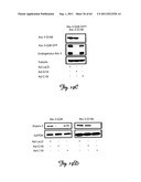 RNA INTERFERENCE SUPPRESSION OF NEURODEGENERATIVE DISEASES AND METHODS OF     USE THEREOF diagram and image