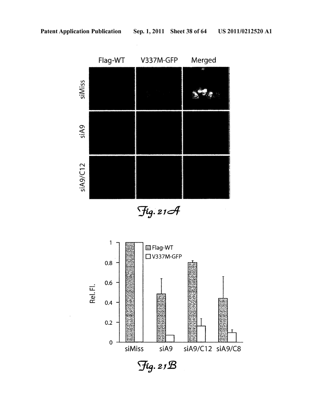 RNA INTERFERENCE SUPPRESSION OF NEURODEGENERATIVE DISEASES AND METHODS OF     USE THEREOF - diagram, schematic, and image 39