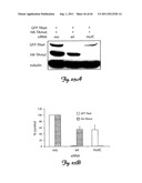 RNA INTERFERENCE SUPPRESSION OF NEURODEGENERATIVE DISEASES AND METHODS OF     USE THEREOF diagram and image