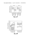 RNA INTERFERENCE SUPPRESSION OF NEURODEGENERATIVE DISEASES AND METHODS OF     USE THEREOF diagram and image