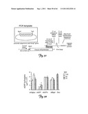 RNA INTERFERENCE SUPPRESSION OF NEURODEGENERATIVE DISEASES AND METHODS OF     USE THEREOF diagram and image