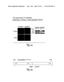 RNA INTERFERENCE SUPPRESSION OF NEURODEGENERATIVE DISEASES AND METHODS OF     USE THEREOF diagram and image