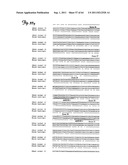 RNA INTERFERENCE SUPPRESSION OF NEURODEGENERATIVE DISEASES AND METHODS OF     USE THEREOF diagram and image