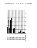 Muscle-specific expression vectors diagram and image