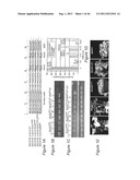 COMPOSITIONS AND METHODS TO PROTECT CELLS BY BLOCKING ENTRY OF PATHOGEN     PROTEINS diagram and image