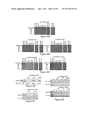 COMPOSITIONS AND METHODS TO PROTECT CELLS BY BLOCKING ENTRY OF PATHOGEN     PROTEINS diagram and image