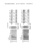 COMPOSITIONS AND METHODS TO PROTECT CELLS BY BLOCKING ENTRY OF PATHOGEN     PROTEINS diagram and image