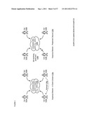 Apparatuses, Methods and Systems for a Virtual Security Camera diagram and image